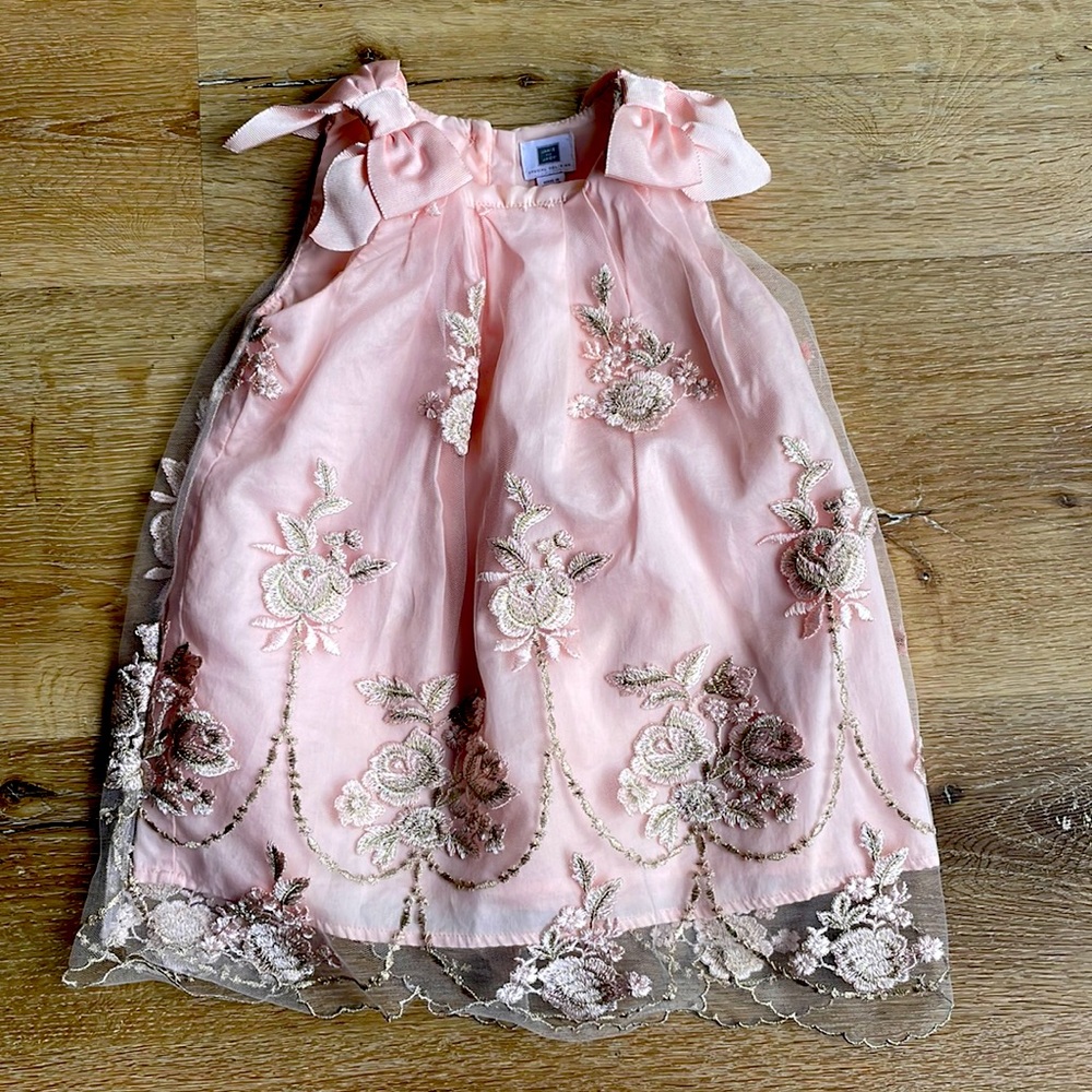 Janie and Jack pink dress with sheer flower embroidery.
